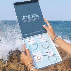 Shark Week 2024 Collection Box