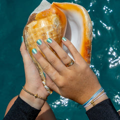 Shark Week 25 Bracelet