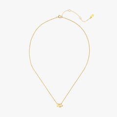 Chi Omega Collection