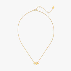 Gamma Phi Beta Collection