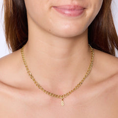 Alpha Phi Collection