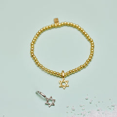 Harper Star of David Charm