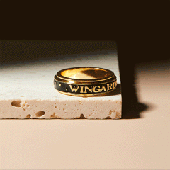 Wingardium Leviosa Fidget Ring